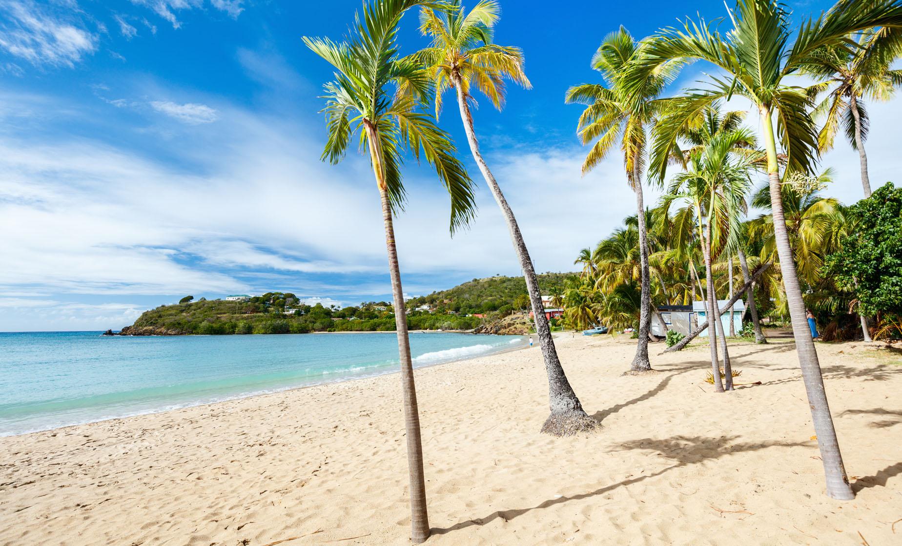 Barbados Beach Day and Turtle Swim Copacabana Carlisle Bay
