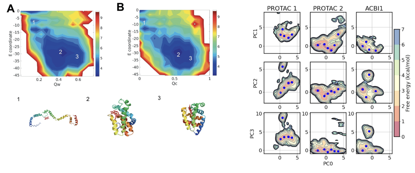 Old Dogs, New Tricks: Molecular Dynamics can Enhance Protein Degrader ...