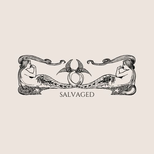 Substack banner for @salvaged