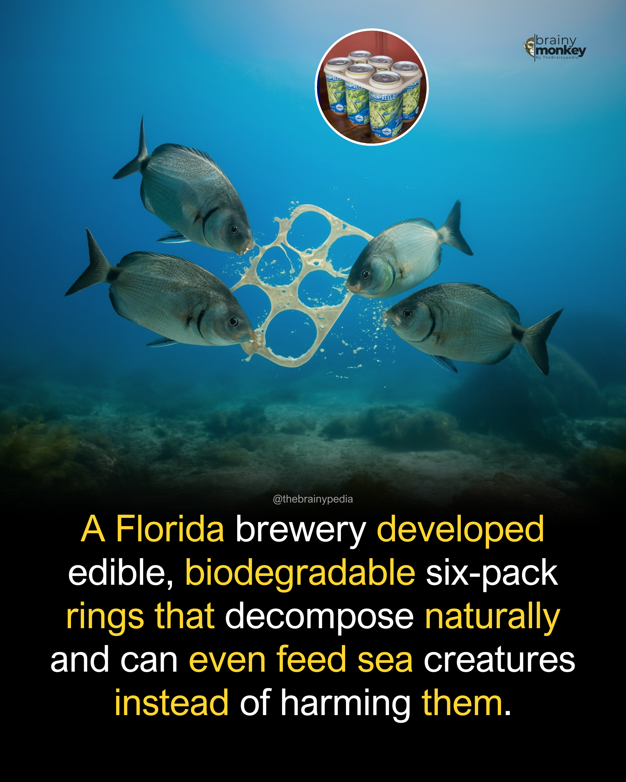 The Brainypedia (@thebrainypedia): 