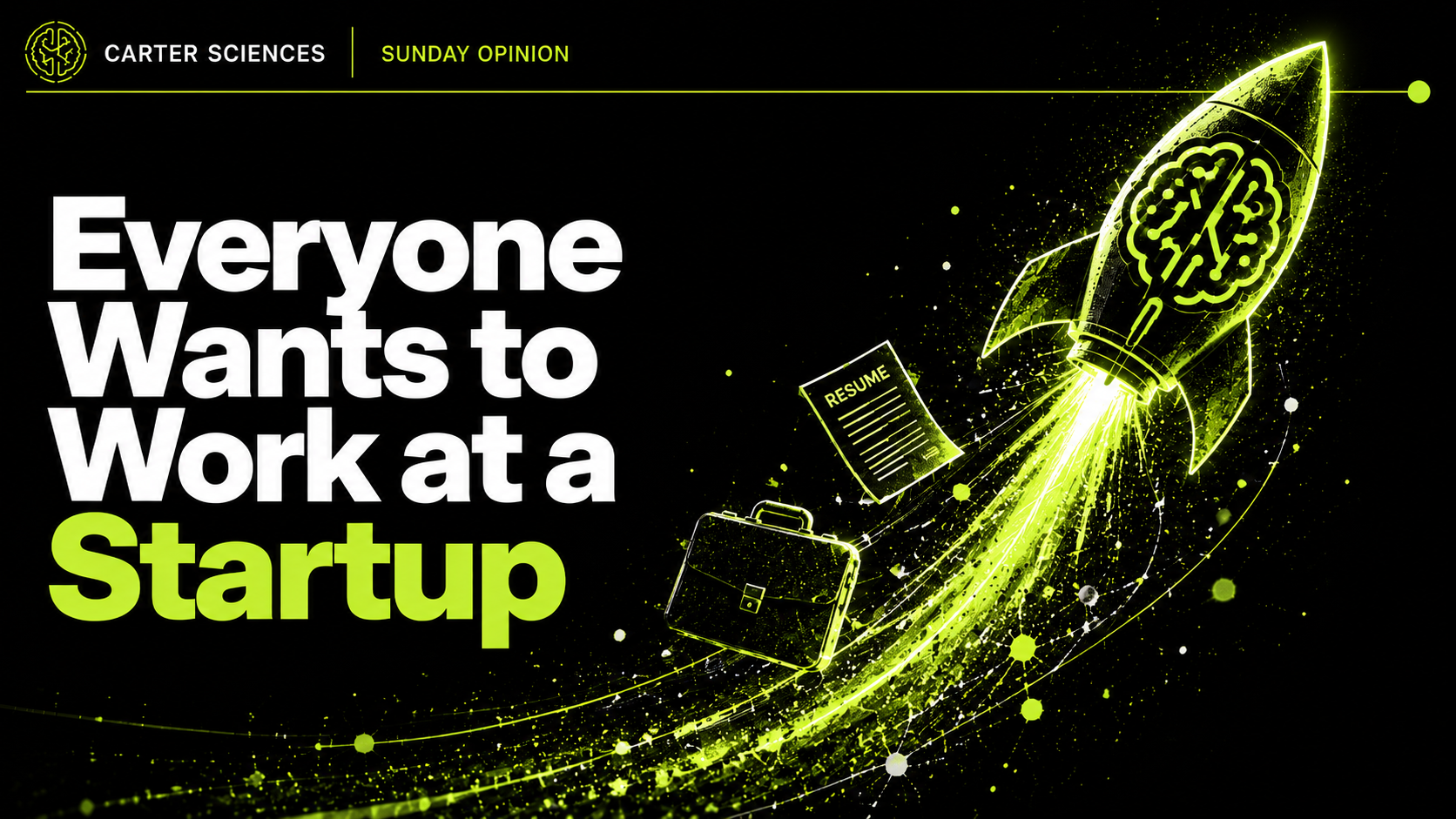 Everyone Wants to Work at a Startup cover