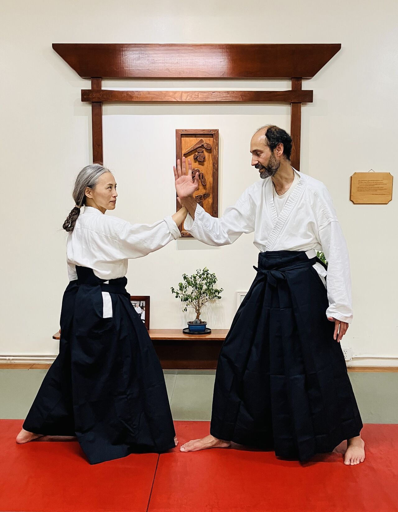 The art of Aikido