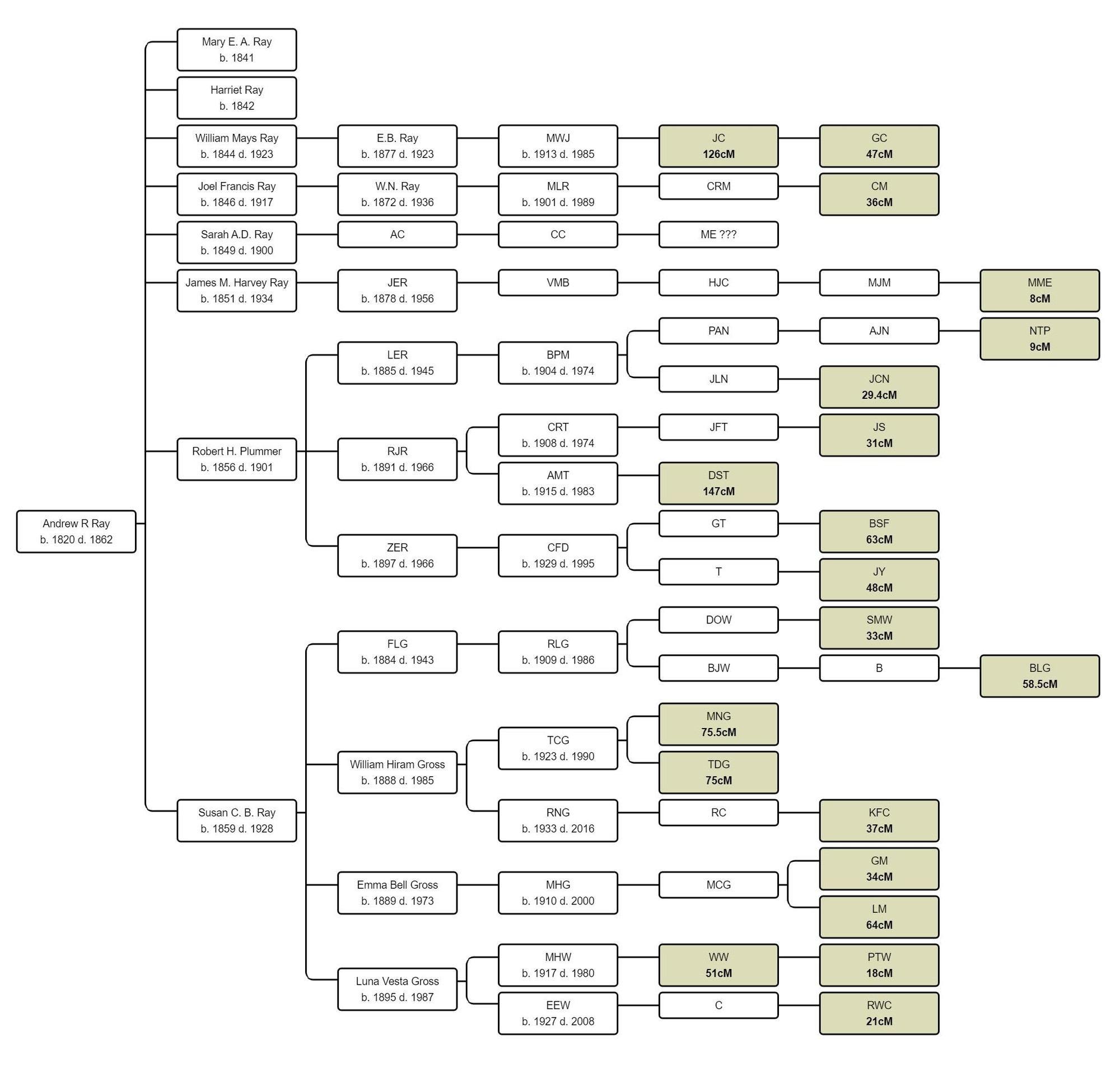 Ray-Rea Connection - Hypothesis, Speculation and Conjecture