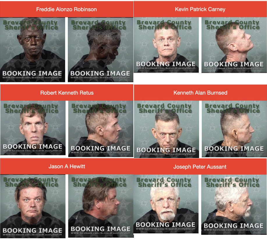 Image for article: Palm Bay Police Crack Down on Illegal Activity at Ais Park