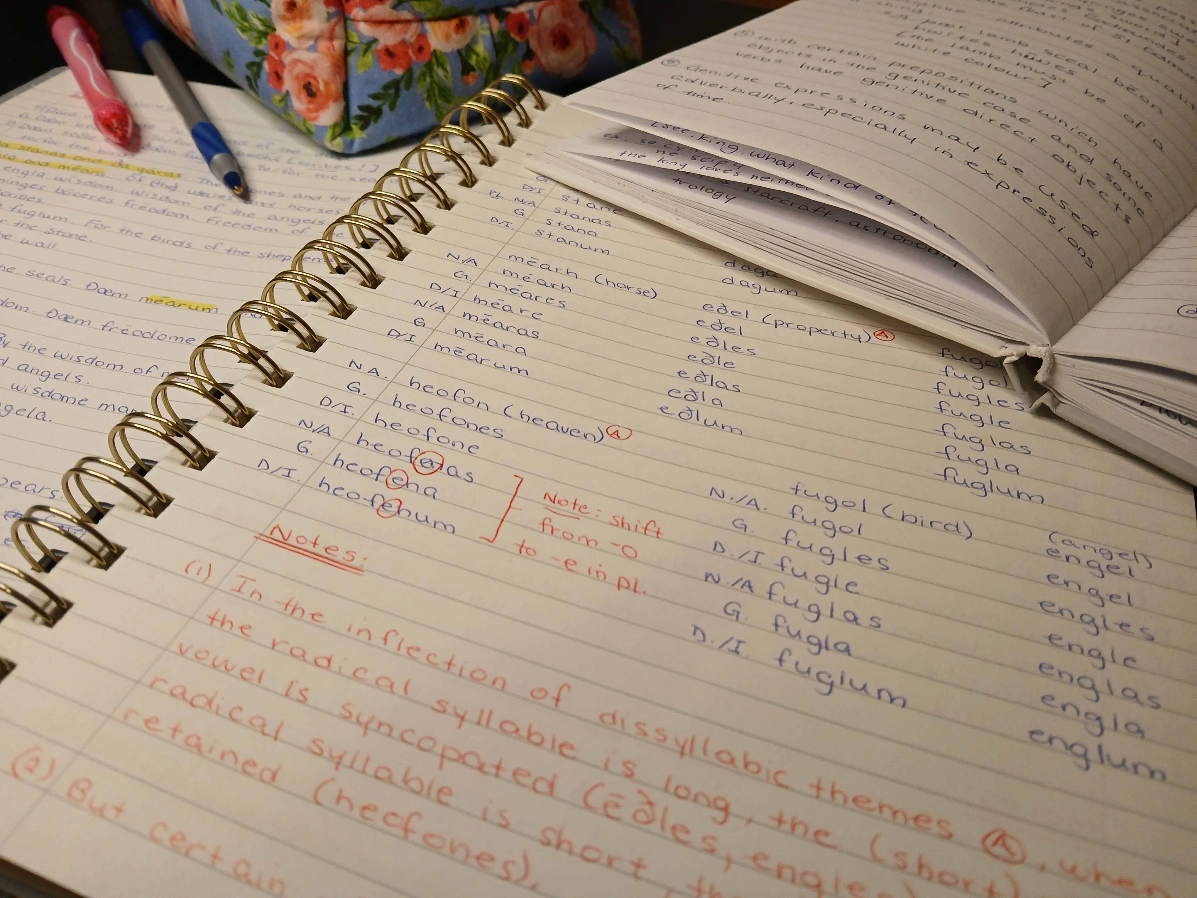 Ten Tips to Start Learning Old English Solo