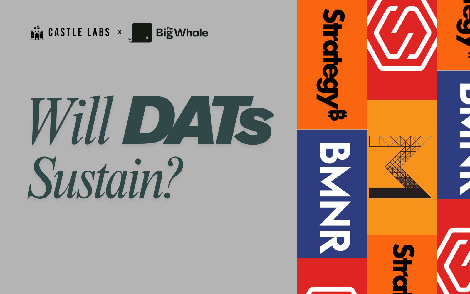 Digital Asset Treasuries (DATs): How good of a play are they really?