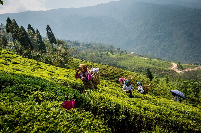 15 Best Places To Visit In India In Spring Season
