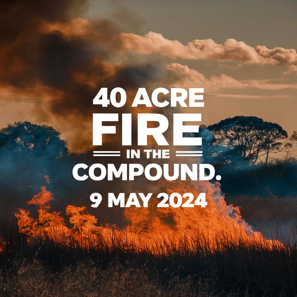 Image for article: From Panic to Relief: Palm Bay Community Breathes Easier as 