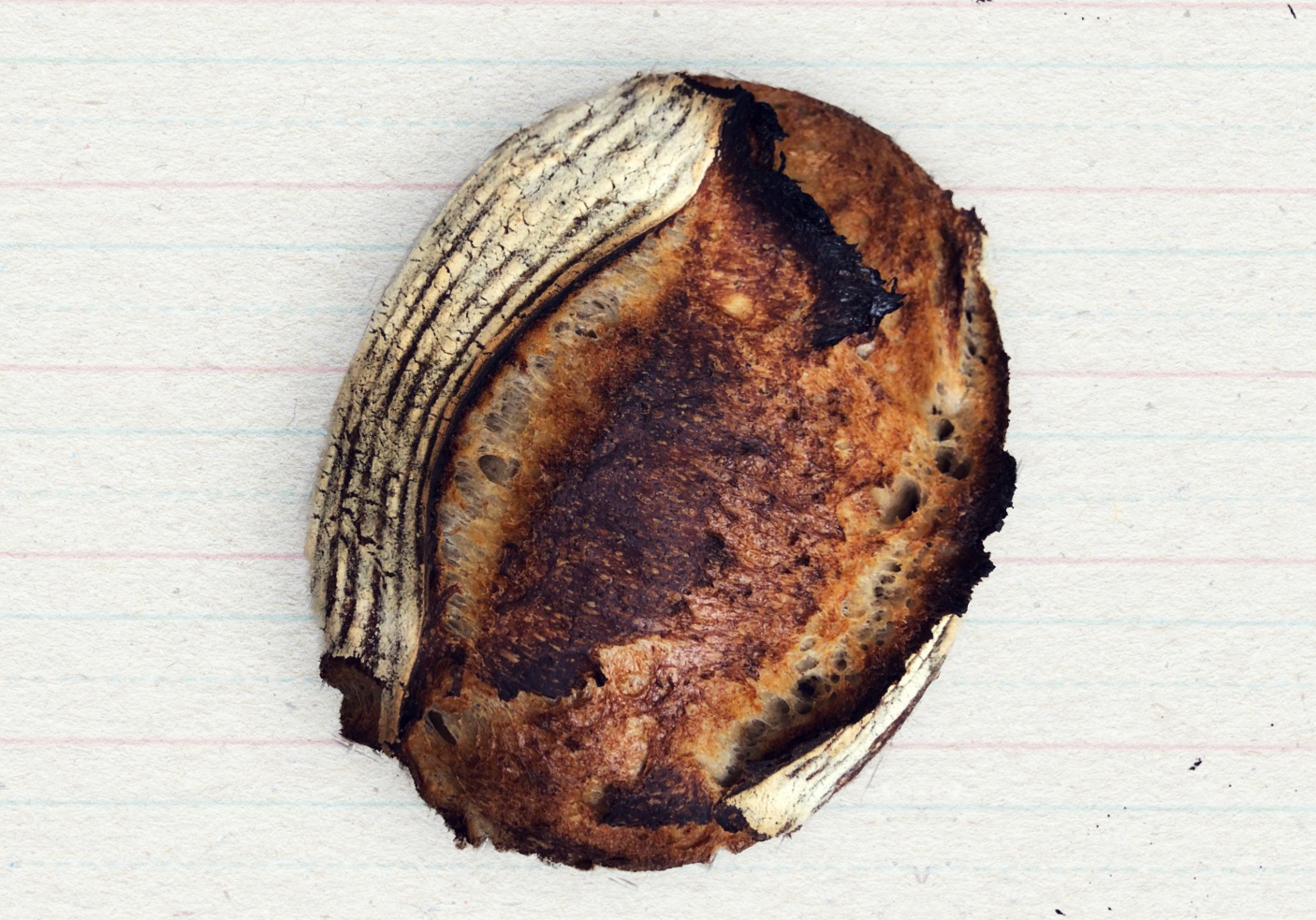 On Bread and Writing