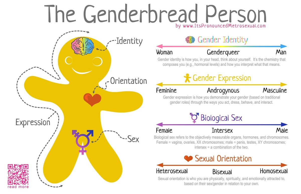 Simple Gender Identity Model Let’s Talk about Gender Identity - by Jill Martin