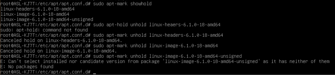 Showing held packages and releasing them