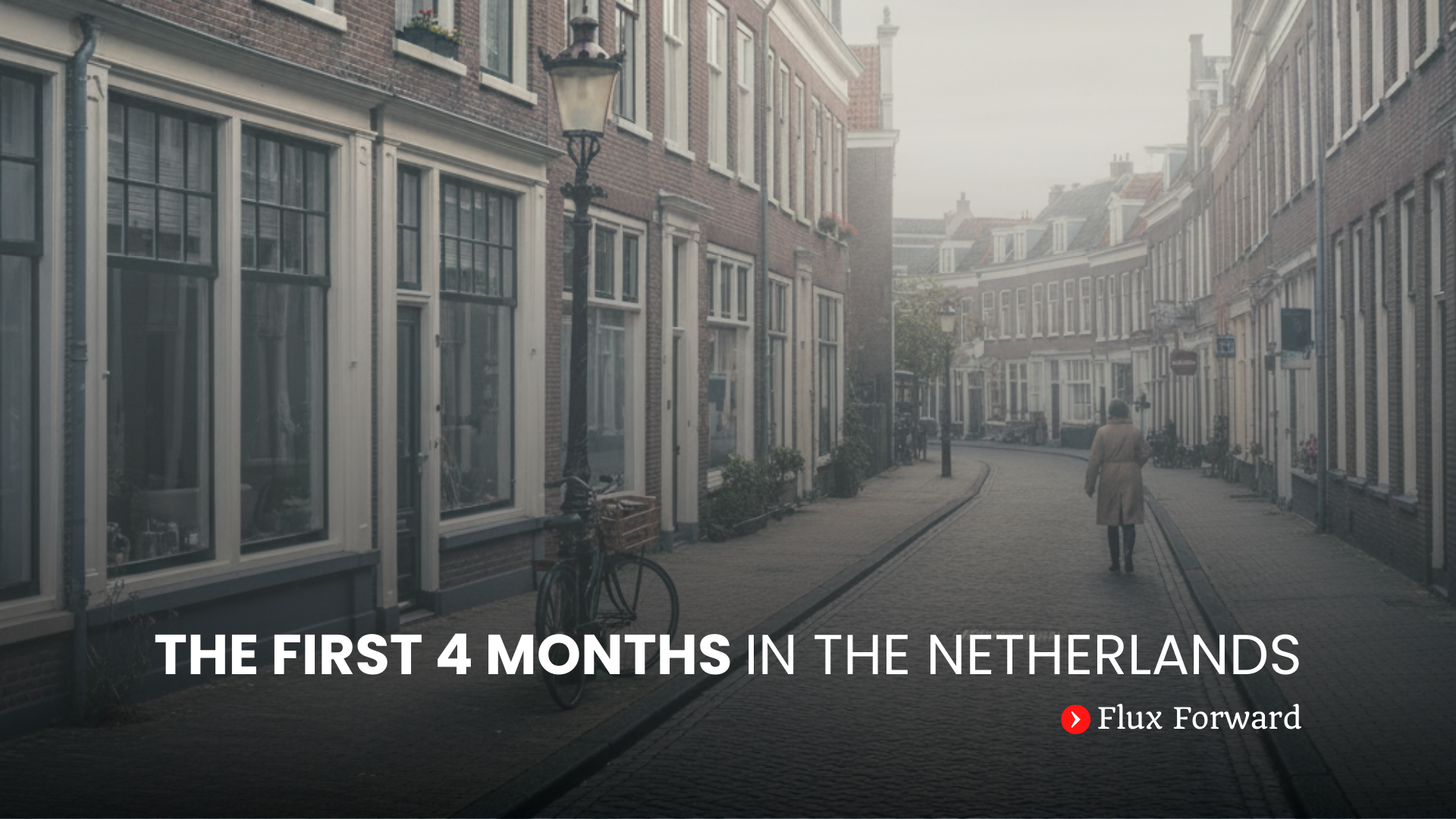 The First 4 Months in the Netherlands cover image