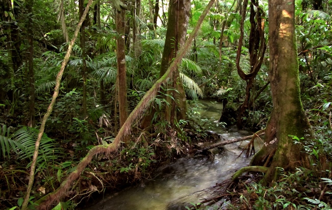 Justiça Militar mantém prisão de colombiano após confrontos com Exército na fronteira amazônica