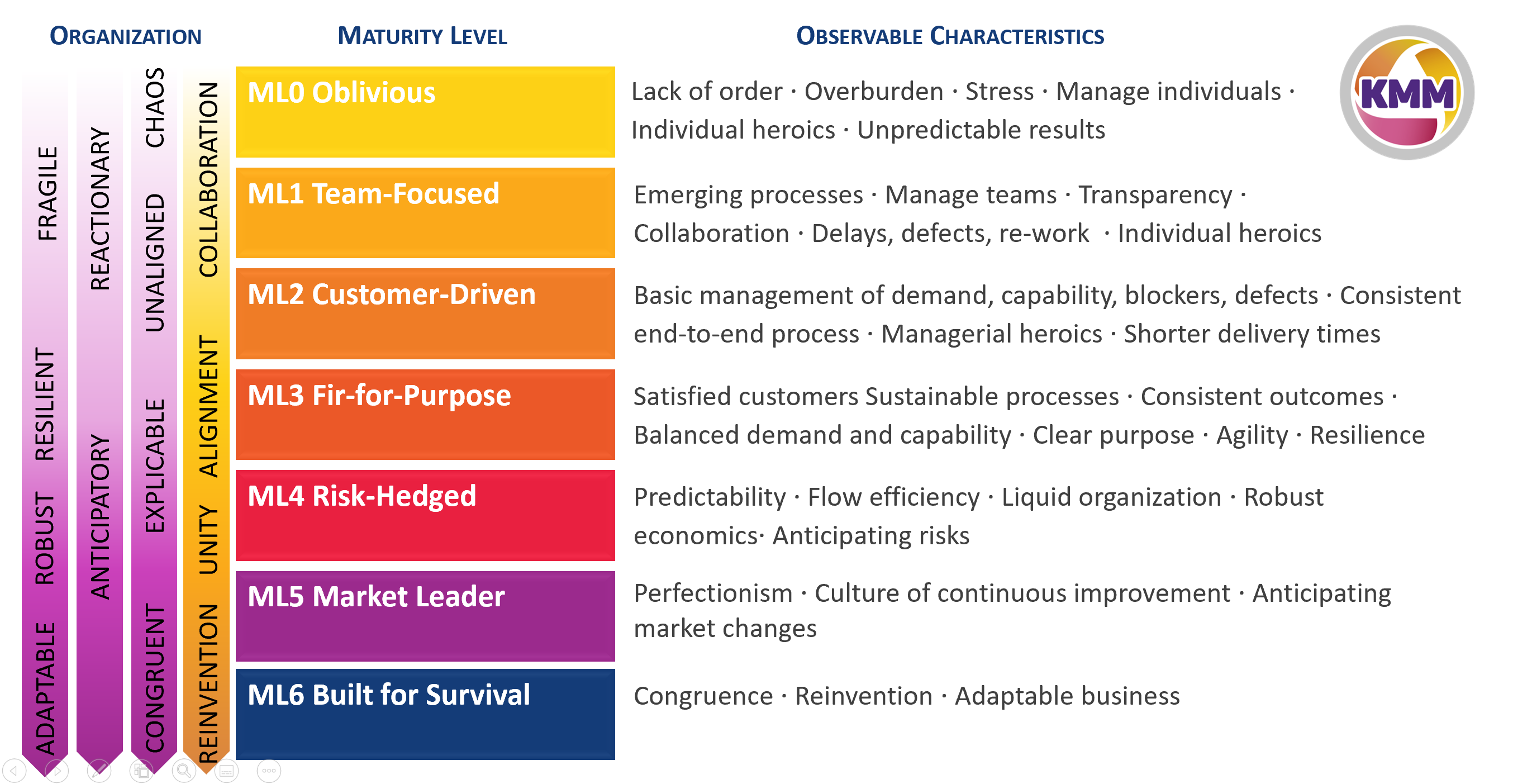 https://berriprocess.com/wp-content/uploads/2020/08/maturity-levels.png
