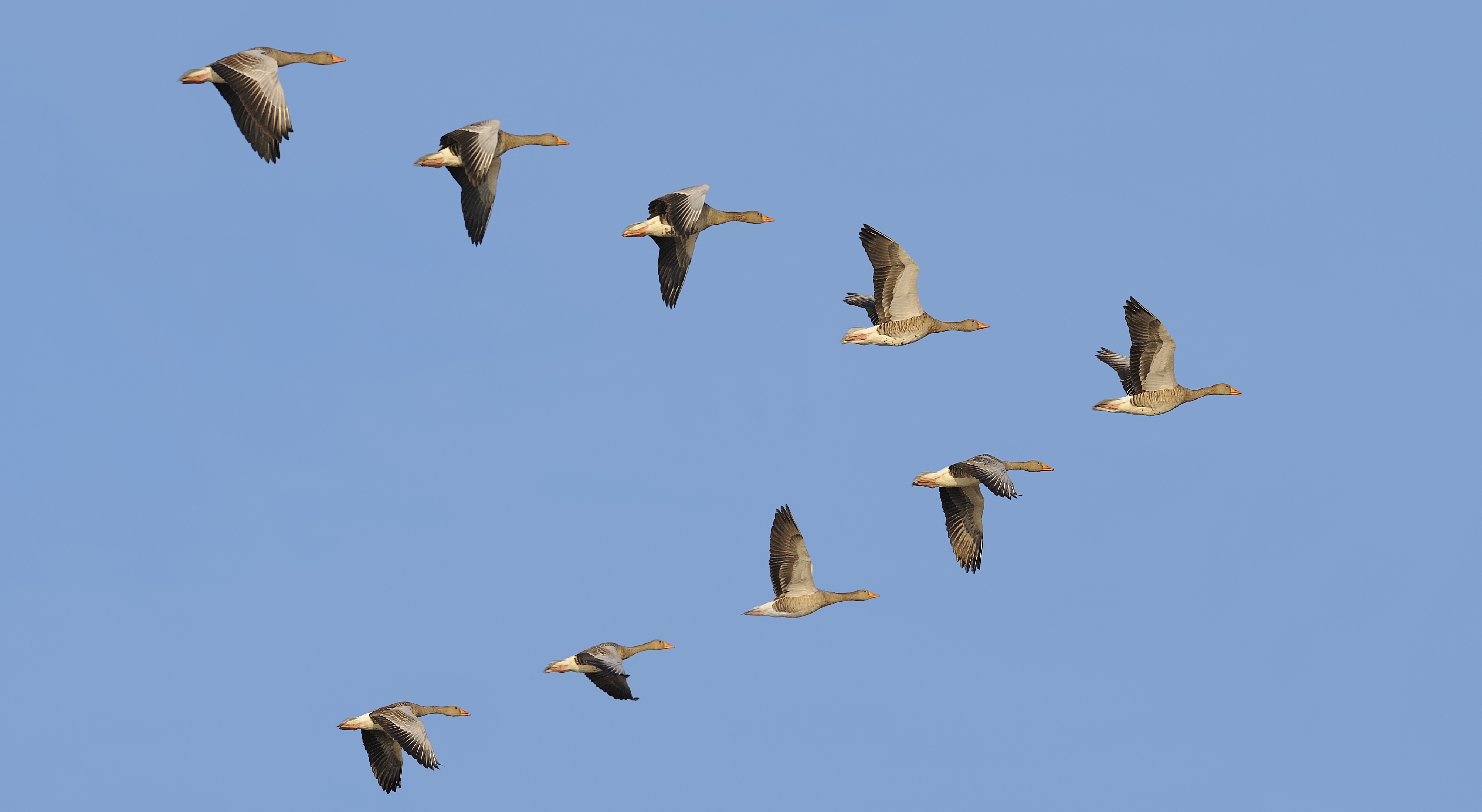 How music marketing works