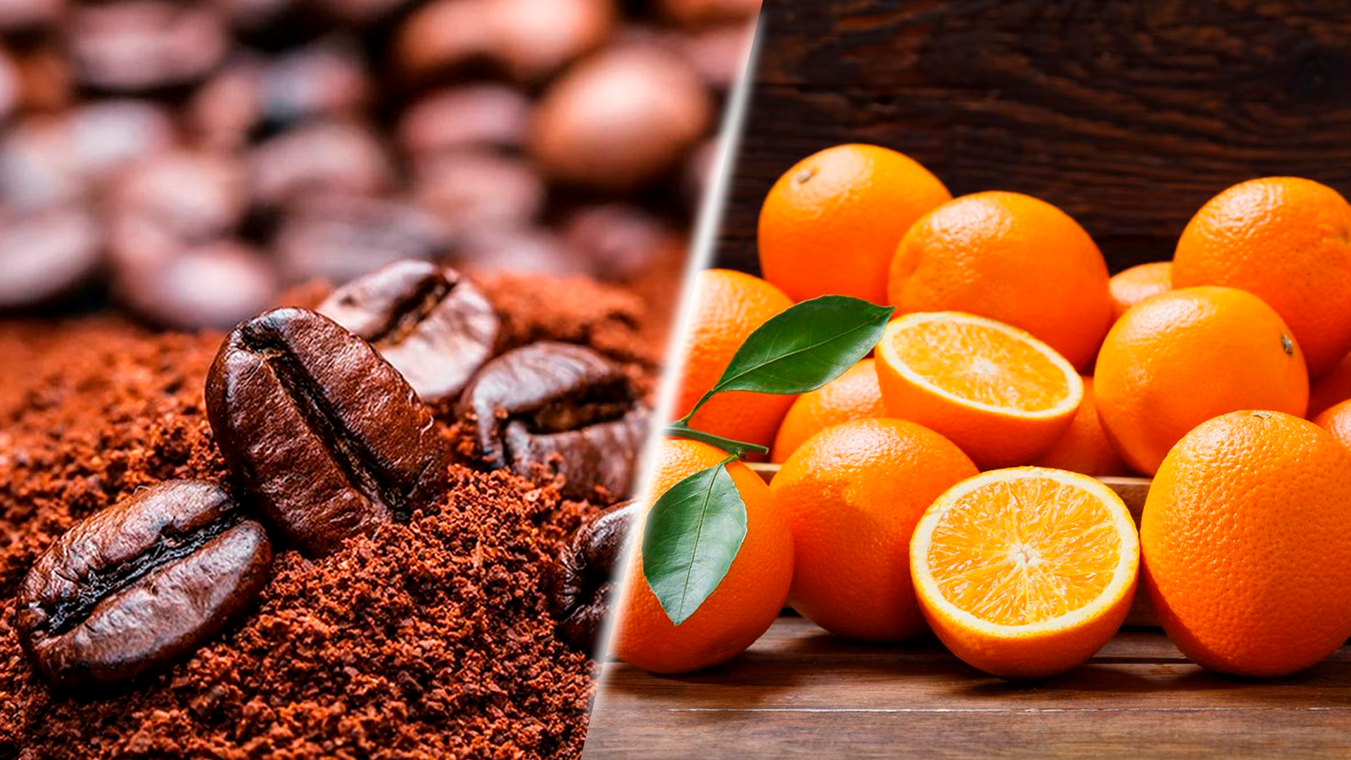 Agronegócio paulista mantém superávit, mas exportações caem 11,6% em 2025