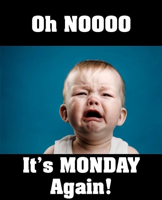 Why I Hate Mondays and How I Try to Survive Them
