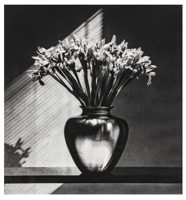 Robert Mapplethorpe, Irises