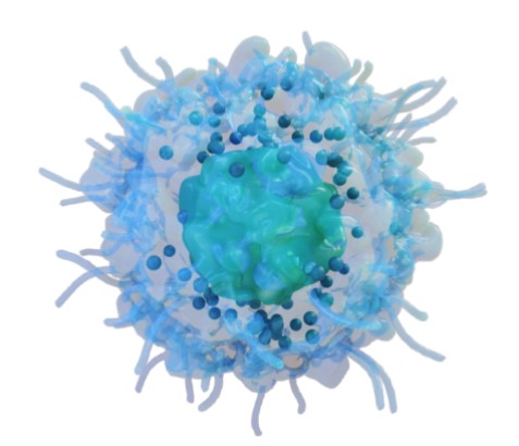 Jewish Invention Myths: Natural Killer Cells