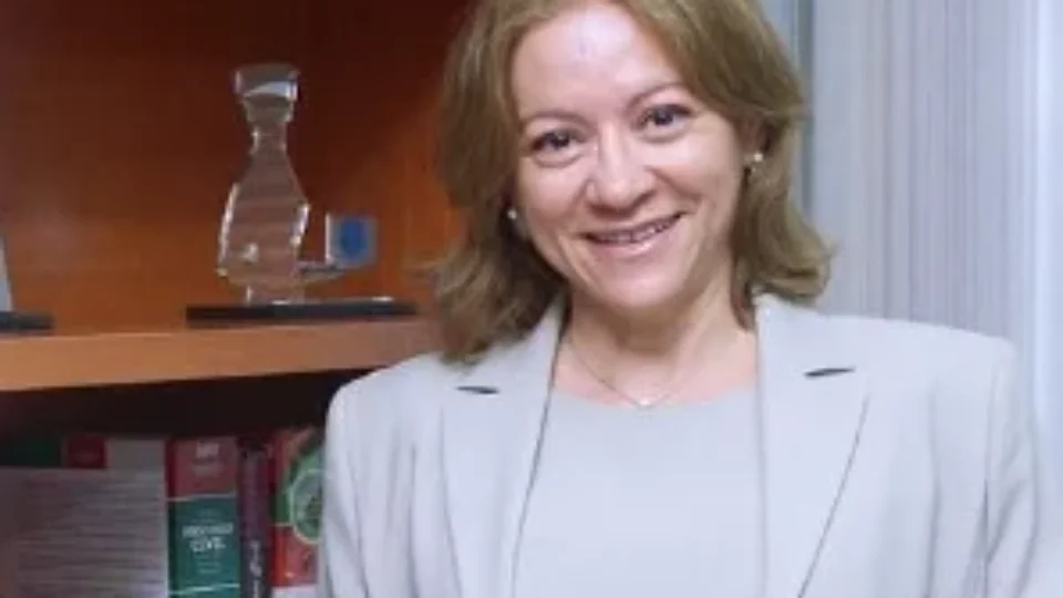 Vínculo anterior revelado: Advogado de Vorcaro defendeu Desembargadora que mandou soltar banqueiro