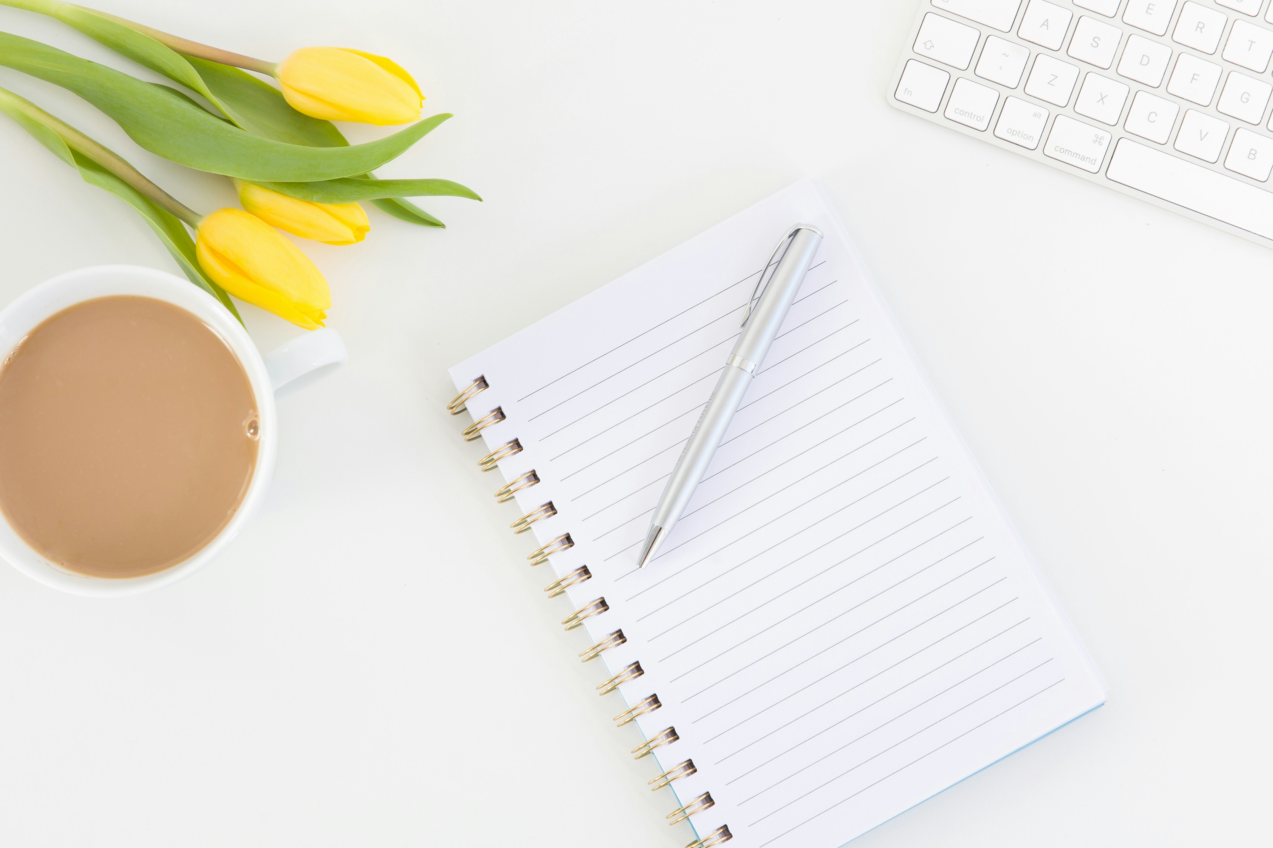 The Practicing Writer 2.0: May 2026