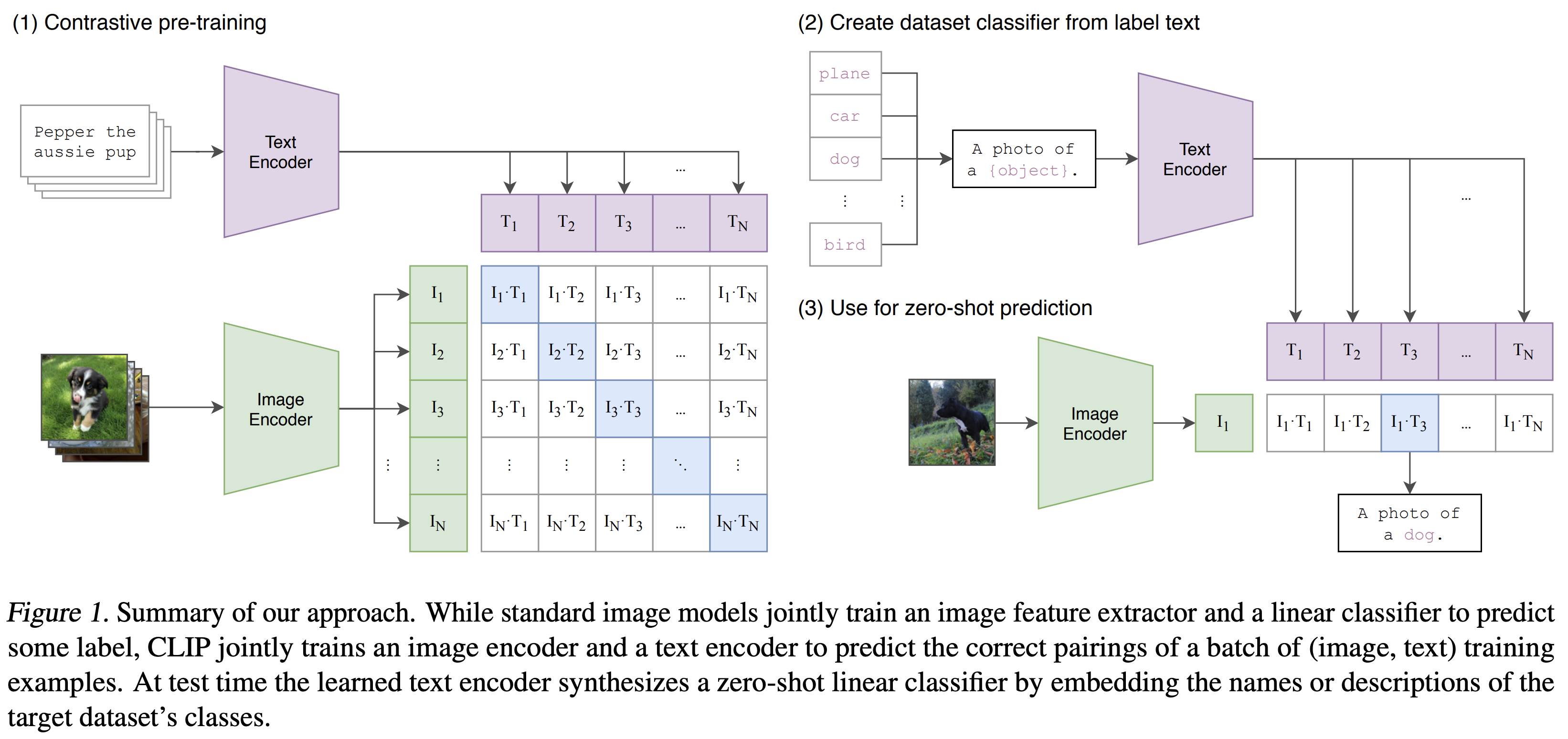 Vision Large Language Models (vLLMs)