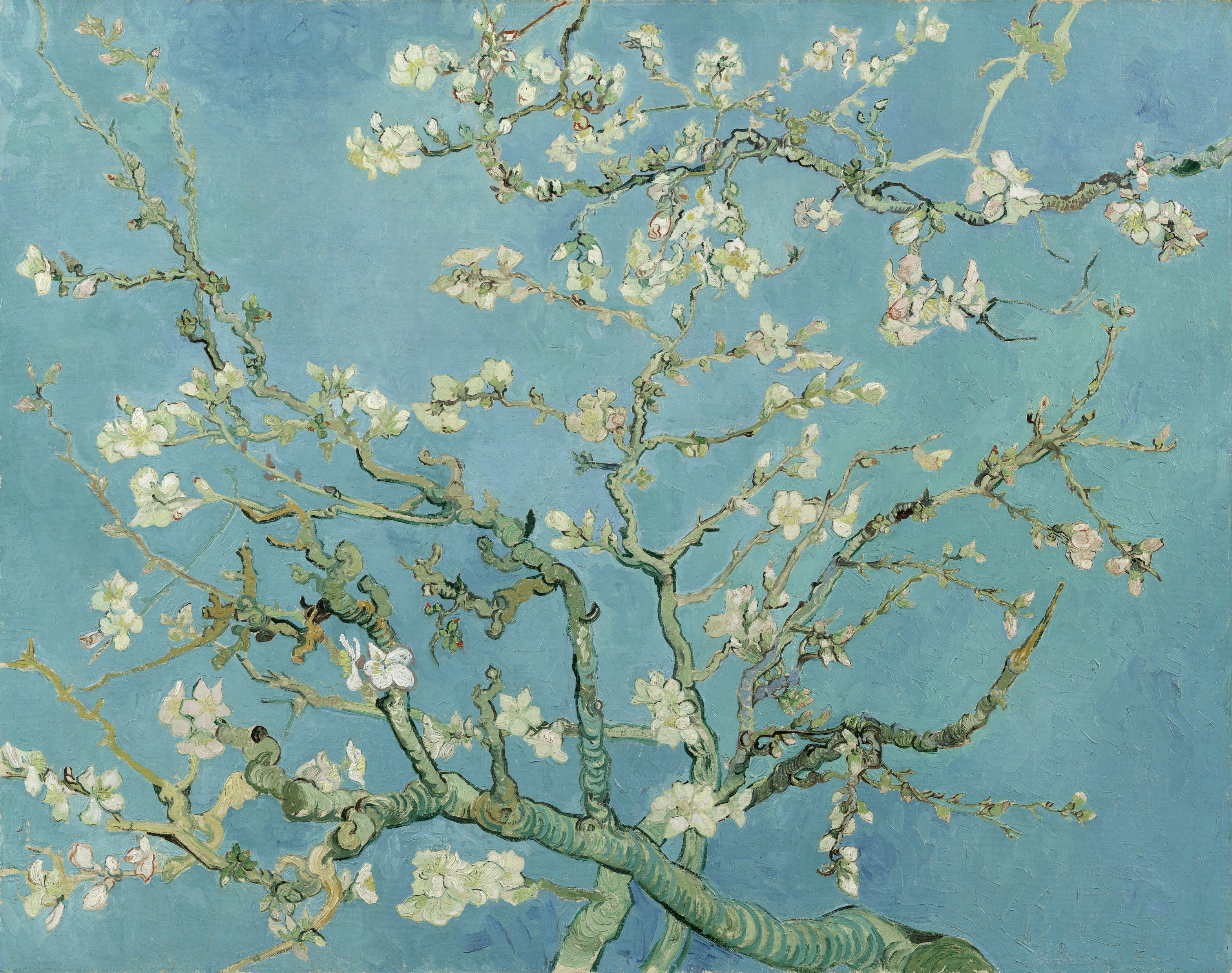 Van Gogh's Almond Blossoms with white flowers against a turquoise sky