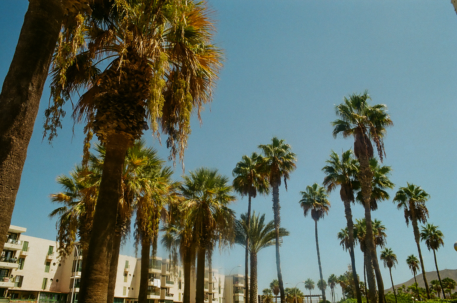 Tenerife