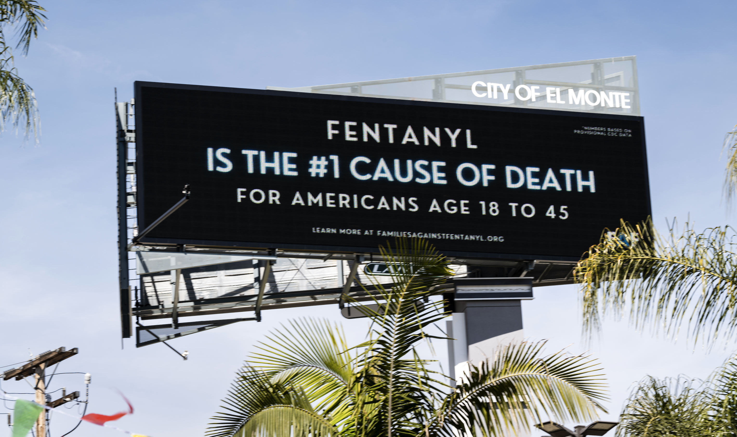 A Deep Dive into the Opioid Crisis