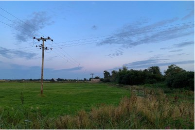 MPF recomenda que Energisa corte energia em assentamentos irregulares de Rondônia