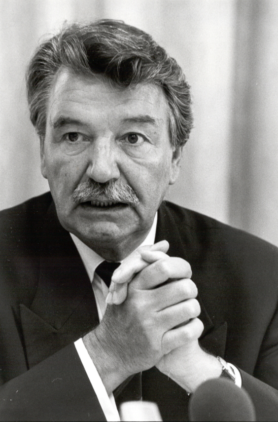 The Blogs: Reporting on the Special Rapporteurs (Part I) | David I ...