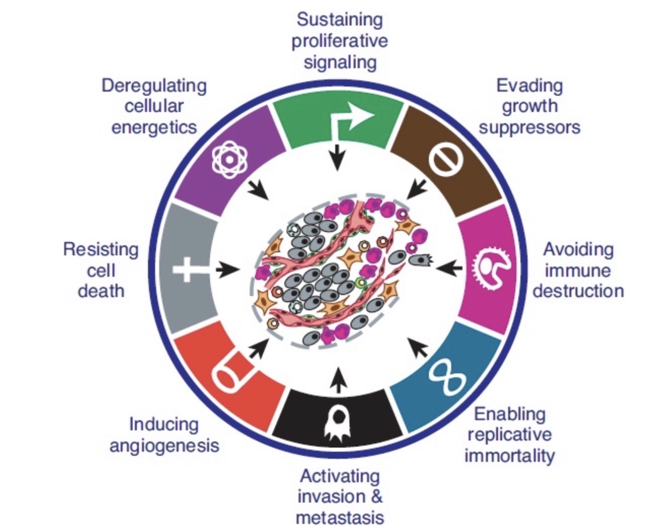 The hallmarks of cancer - by Dr. Aristotelis Stefanis
