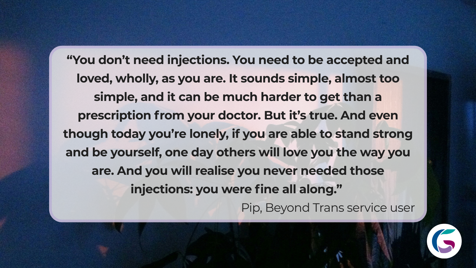 Detransitioner quote card