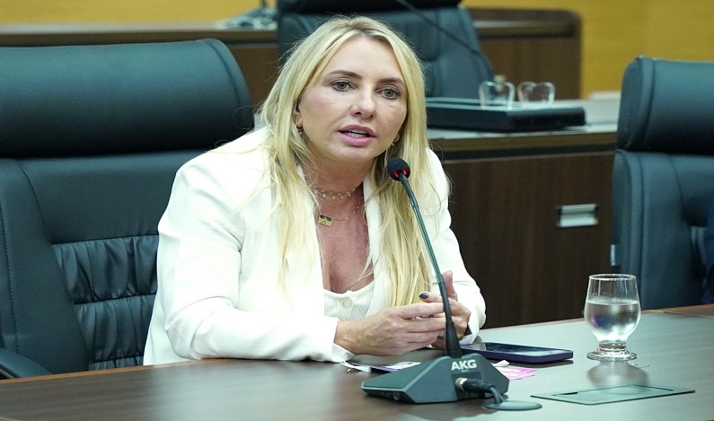 Ieda Chaves recomenda a estadualização da Linha 67, entre a BR-364 e o distrito de Rio Pardo