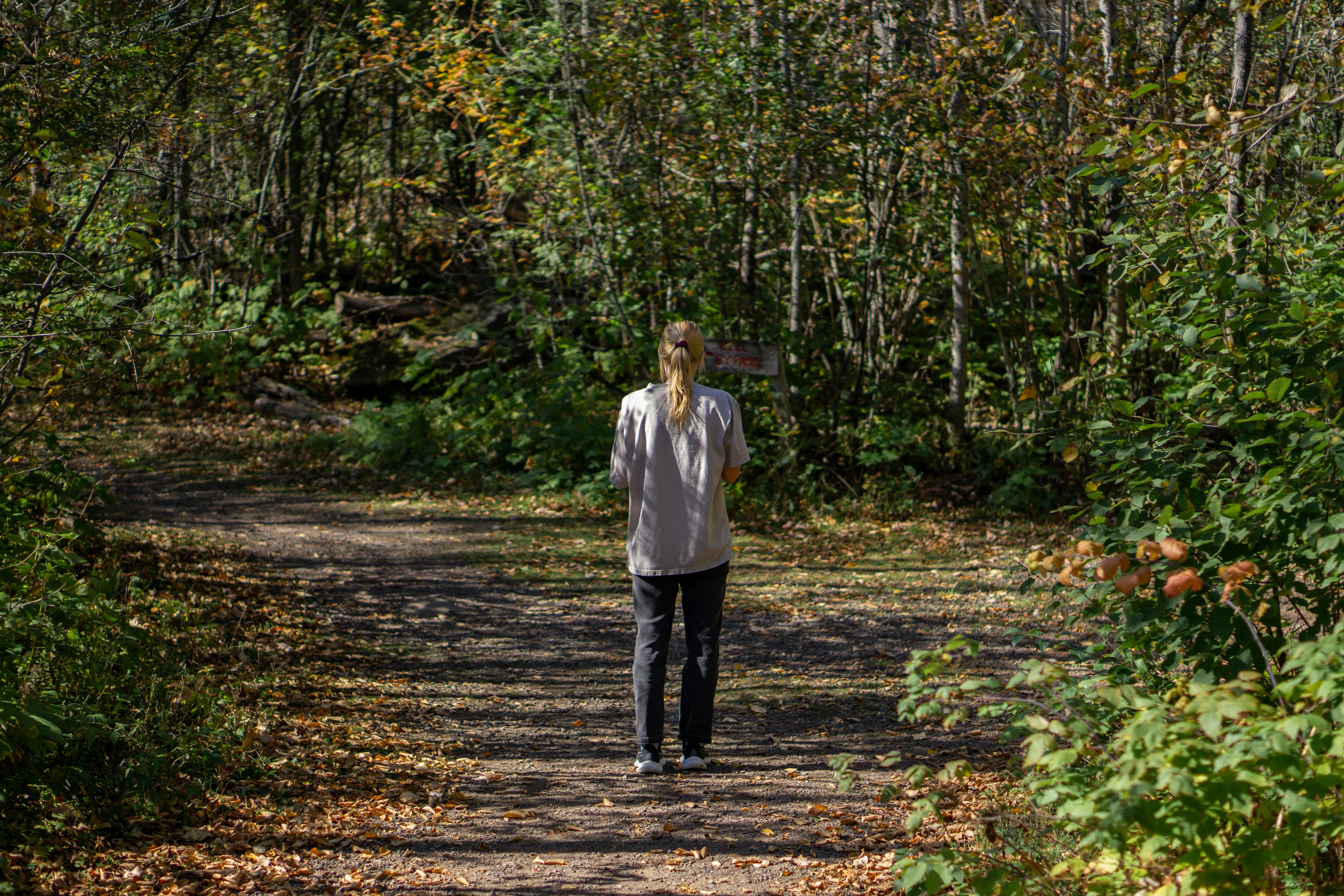 technosapiens.substack.com - Jacqueline Nesi, PhD - Do digital detoxes reverse brain damage?