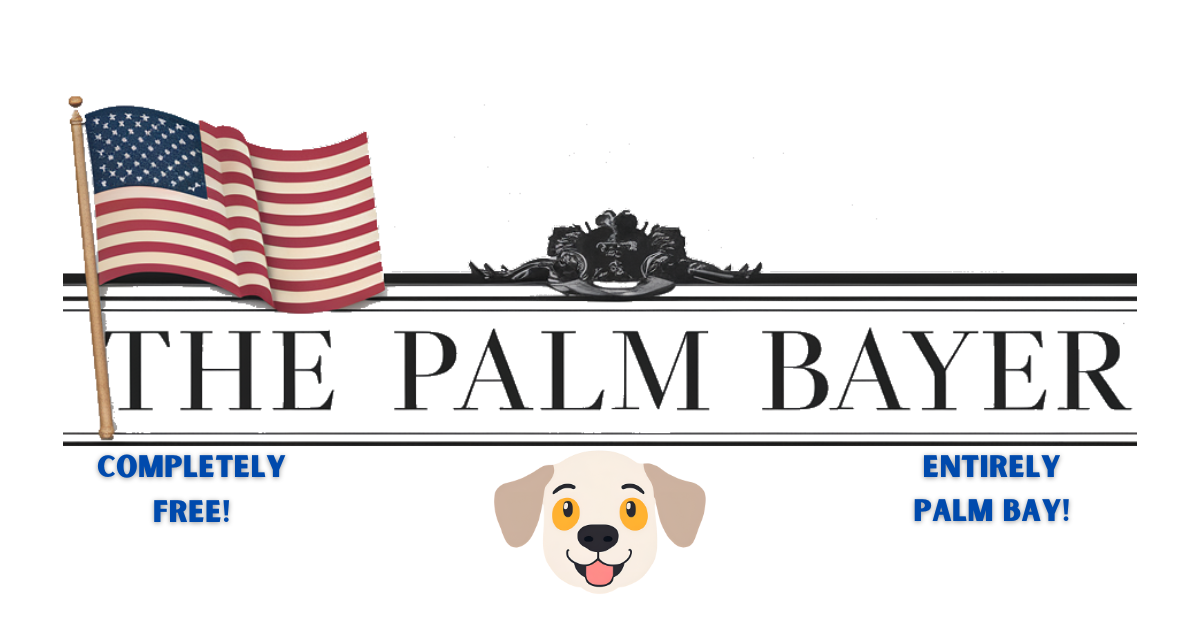 Image for article: 🐶 Palm Bay Unleashes New Dog Park at Ken Greene Memorial Park 🐾