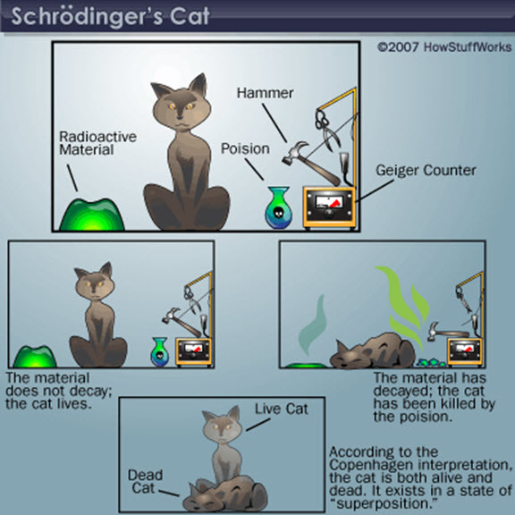 Schrödinger’s Cat