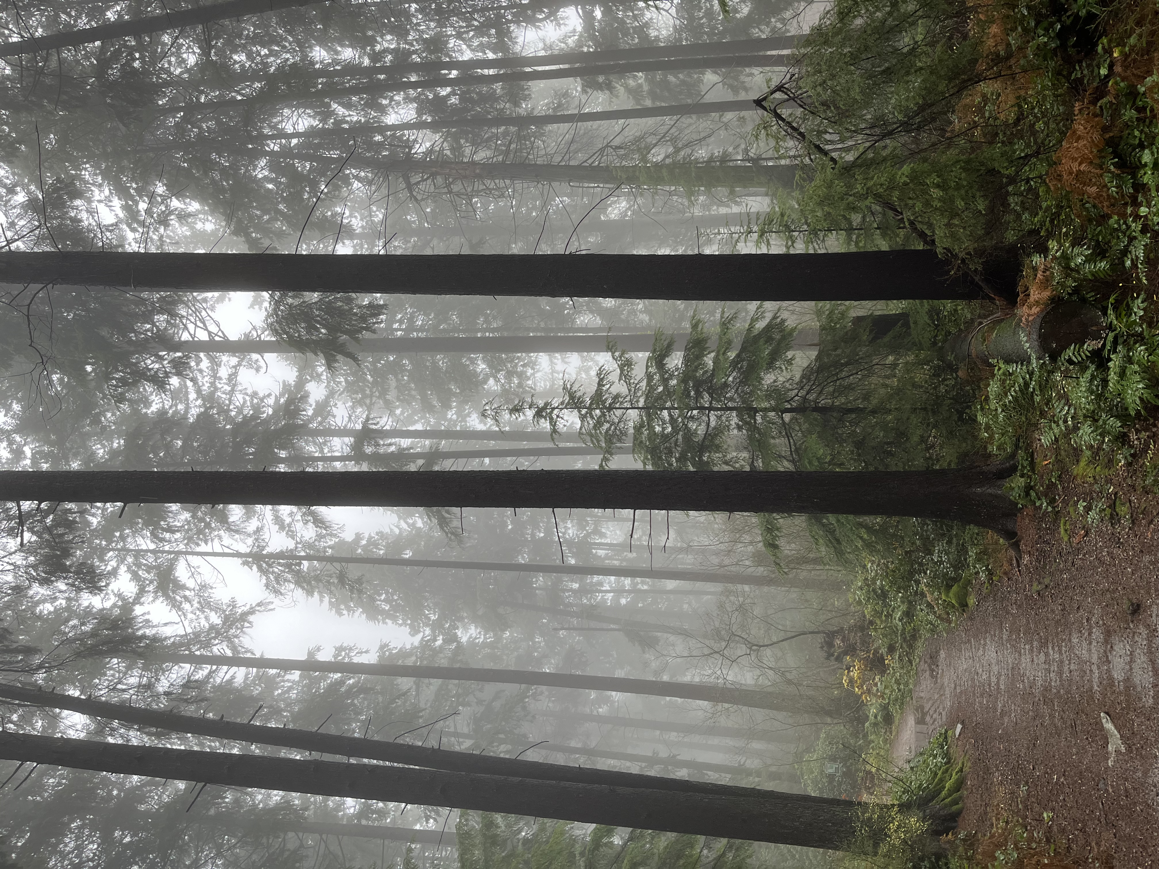 Living the Questions