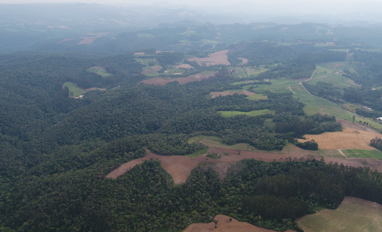 Desmatamento irregular destrói uma das maiores reservas ambientais de Santa Catarina