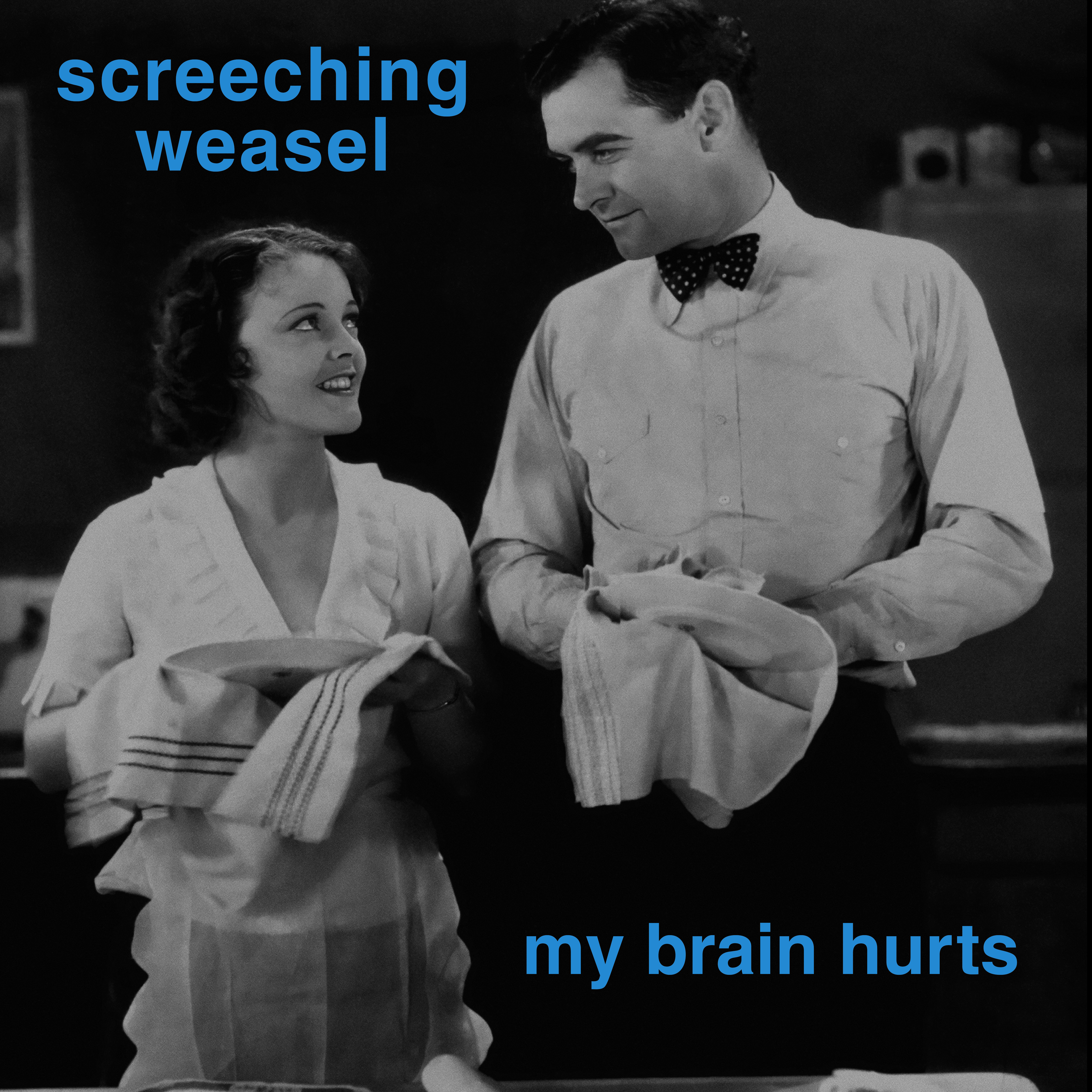 Extremely Limited Vinyl - Screeching Weasel Newsletter