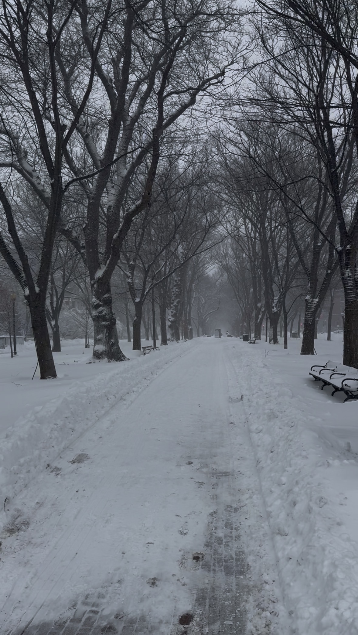 Closing tabs: Tuesday edition