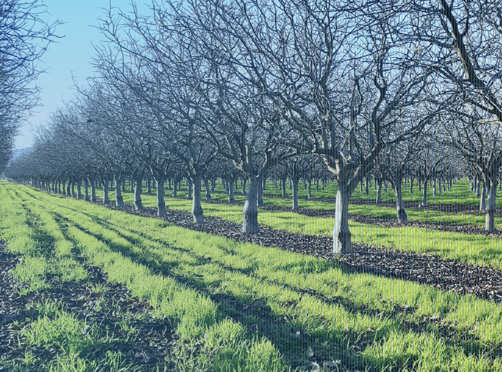 Paying The Price For An Uncertain Trade Environment