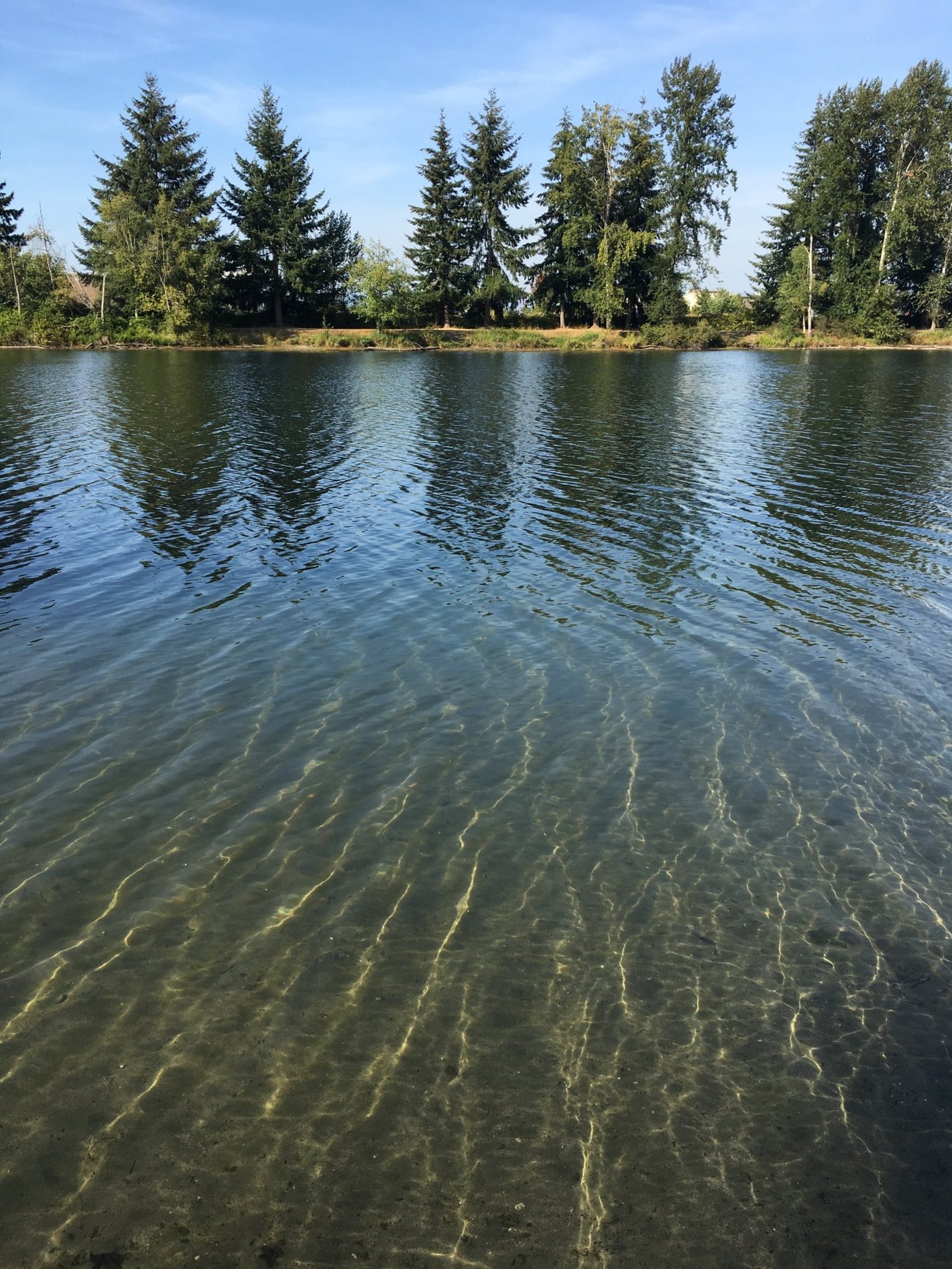 Tending your inner life is resistance