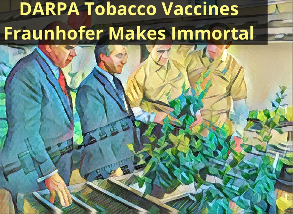 George Webb’s None Dare Call It DARPA
