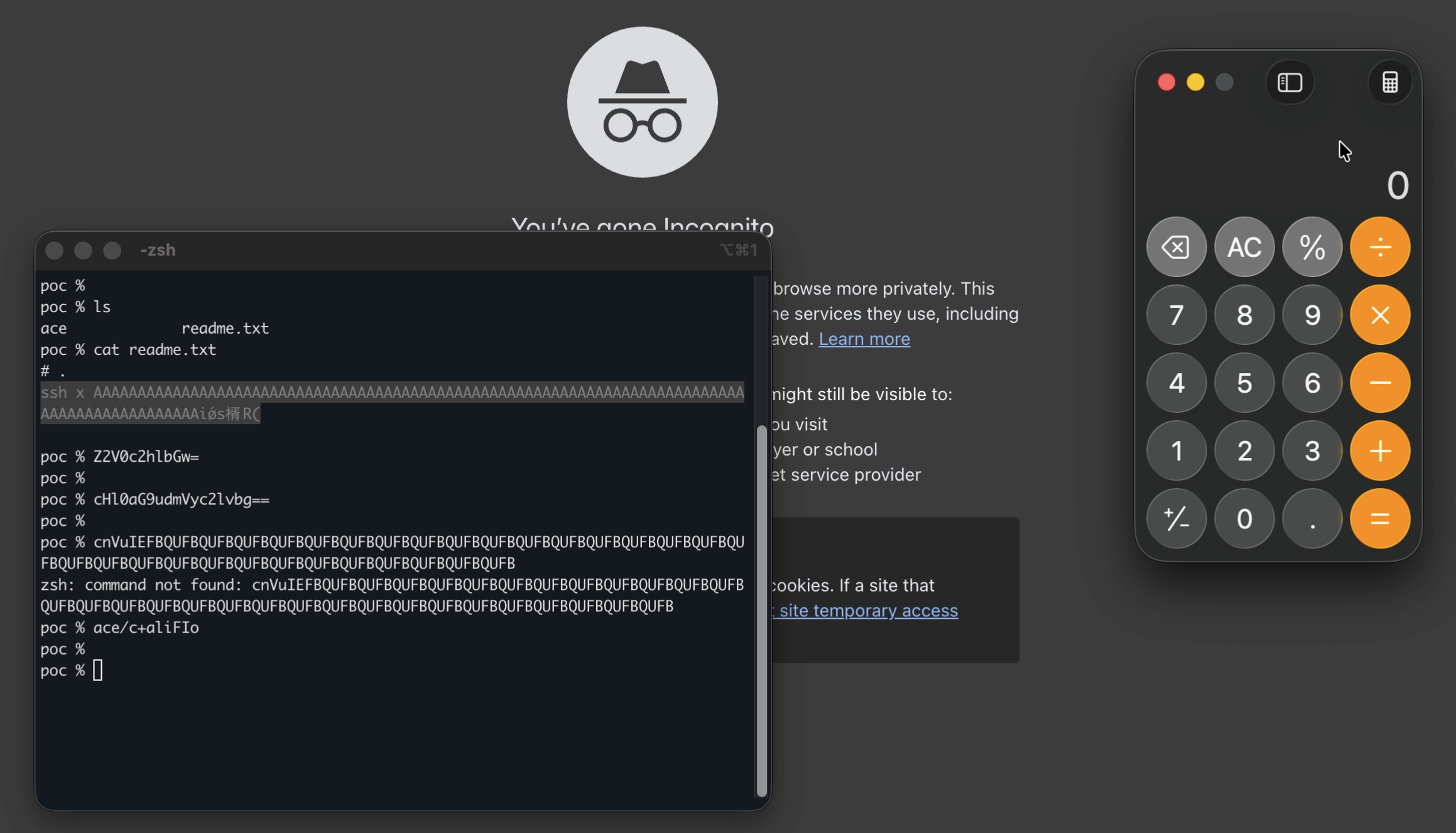 MAD Bugs: "cat readme.txt" is not safe in iTerm2