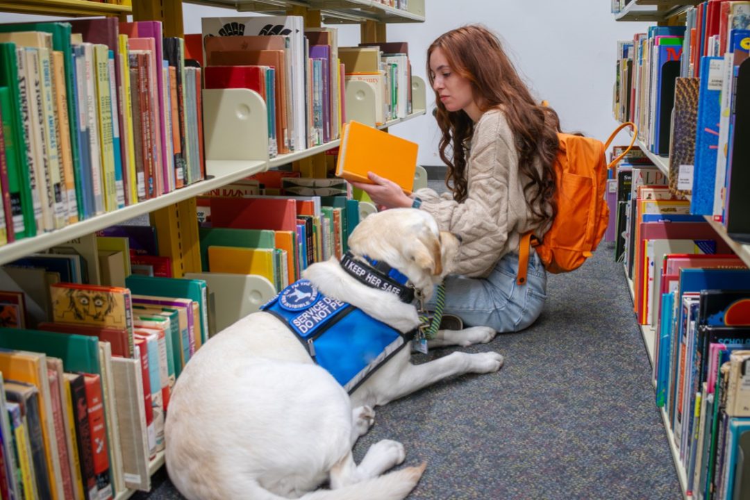 Happily Handicapped Nation: Almost 4 in 10 Stanford Students Claim “Disability”