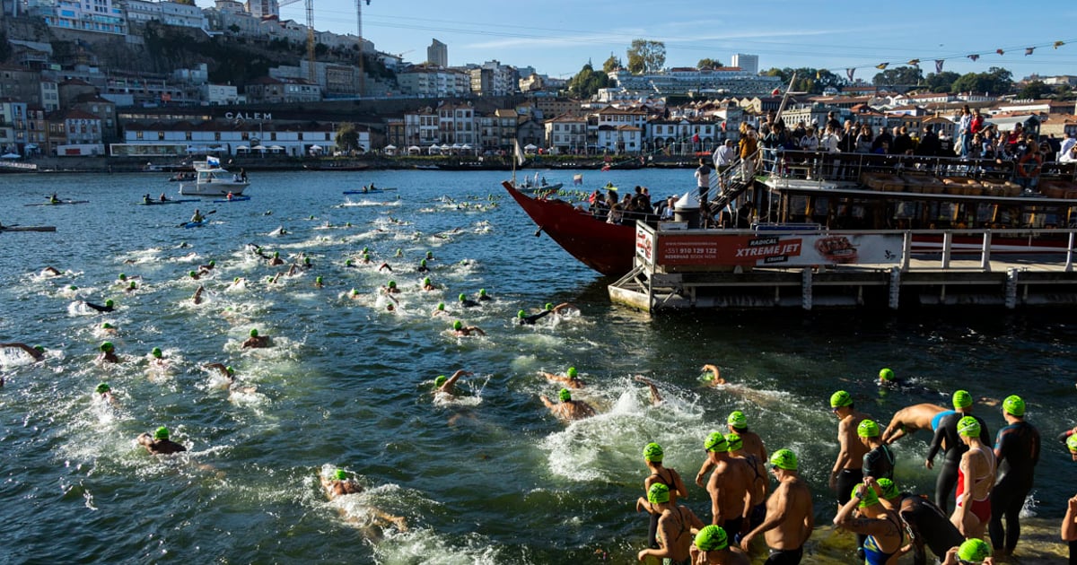 Douro Bridges — Porto & Gaia Open Water