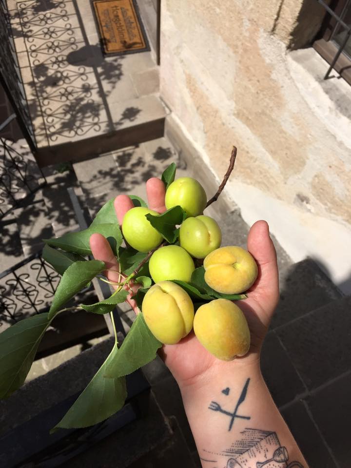 Fruit Salad: Pride of Place, Improvisation, and Play on a Plate 