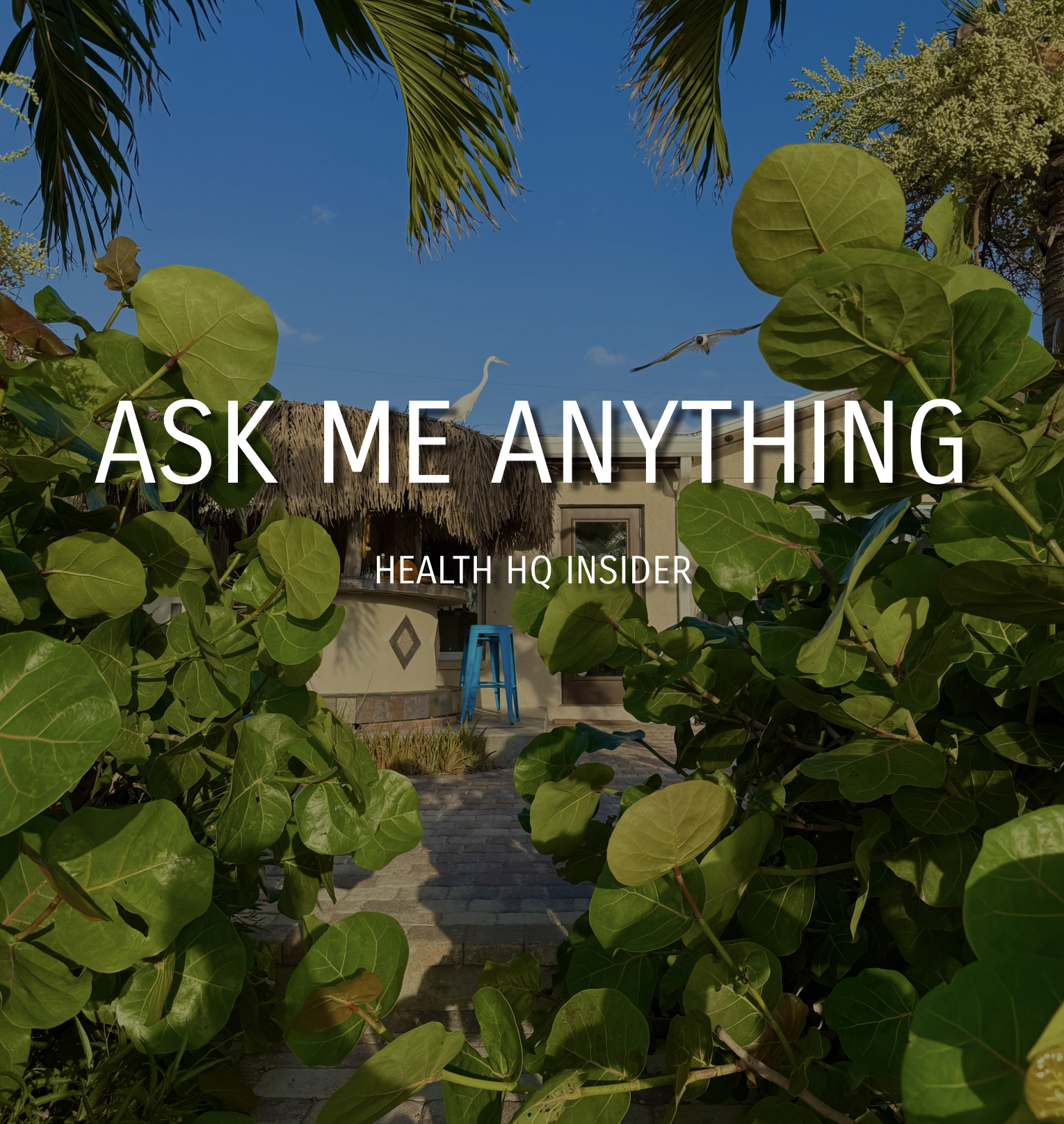 Cover image for Health HQ AMA 15