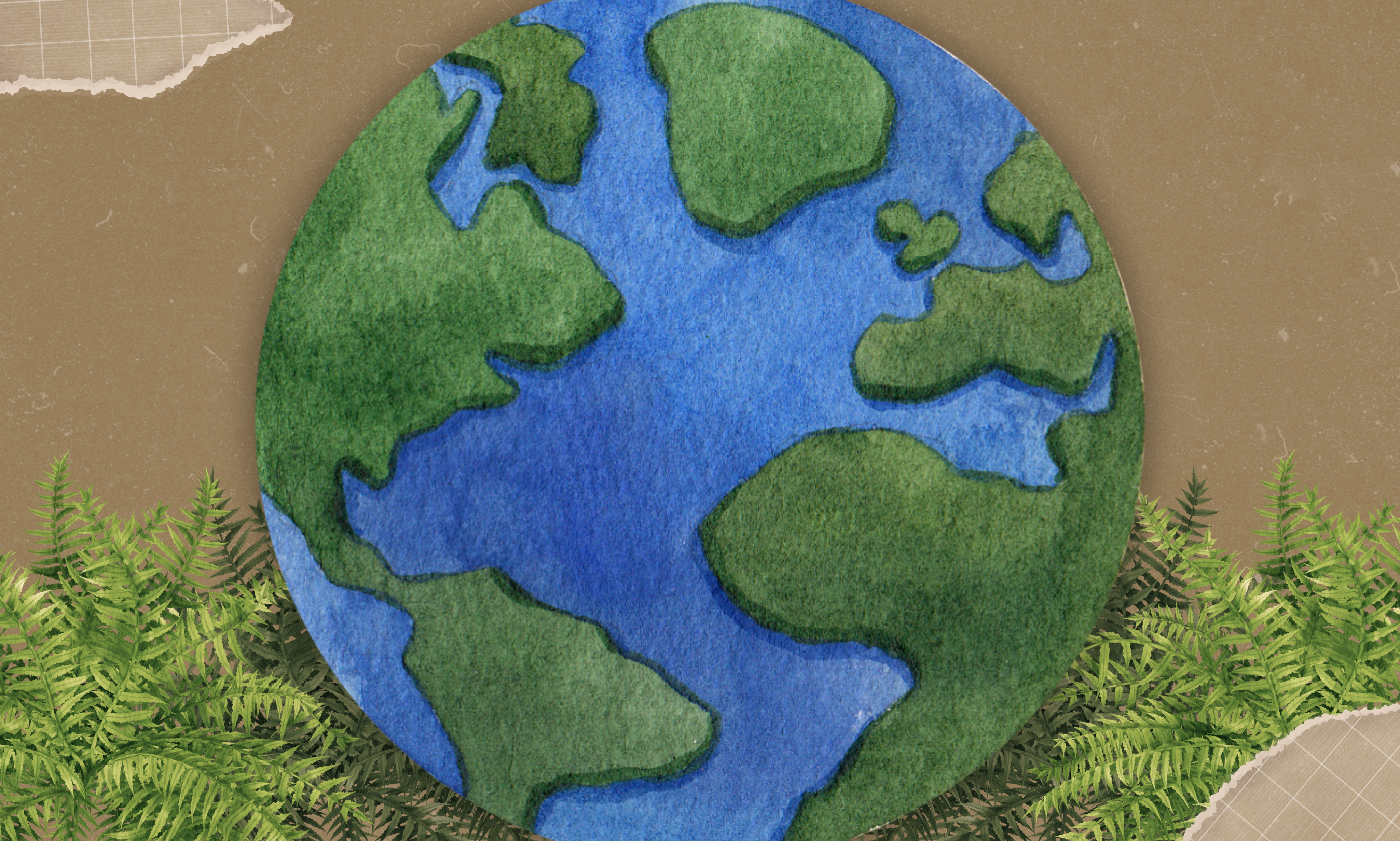 What Do Environmental Economists Actually Think About the Environment?